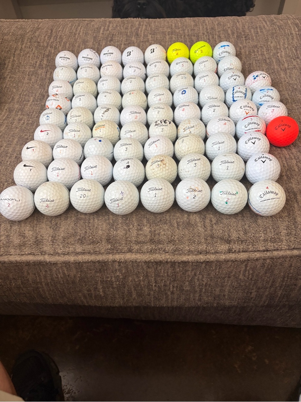 Mixed Lot of Golf Balls - Titleist, Callaway, Others - White with Accent Colors